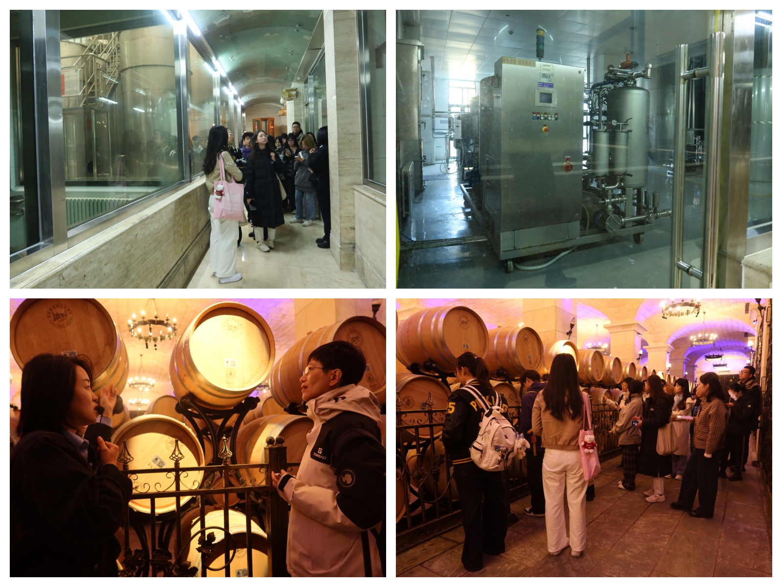 3-师生考察酒庄生产环节.jpg