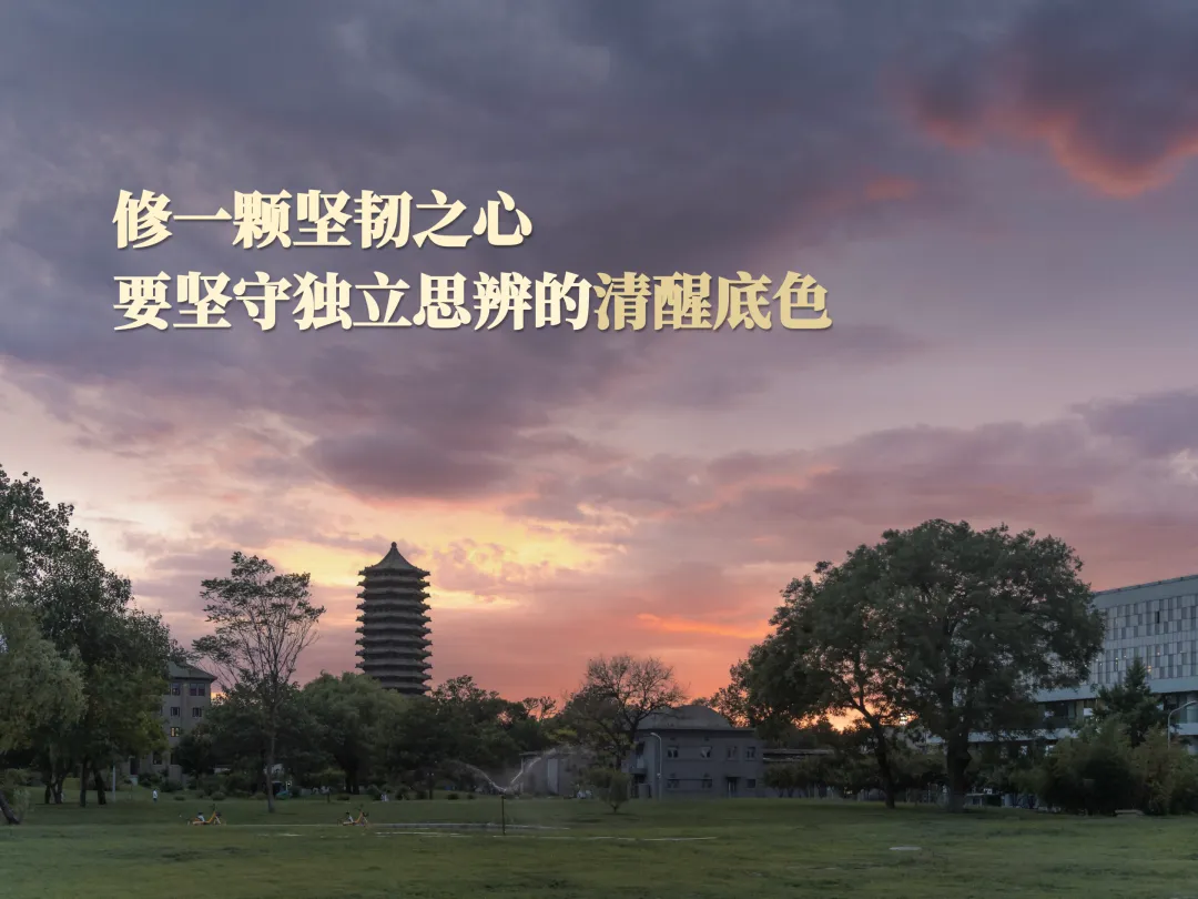 张辉05.jpg 张辉05.jpg