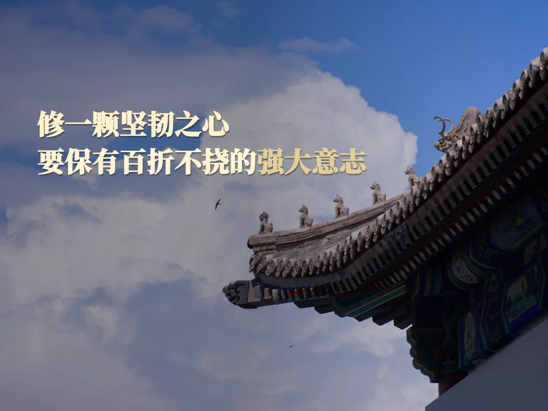 张辉04.jpg 张辉04.jpg